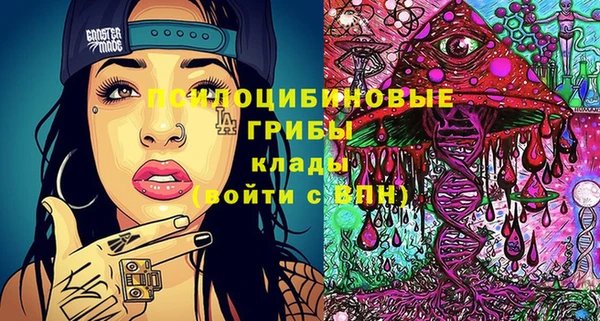мдпв Белокуриха