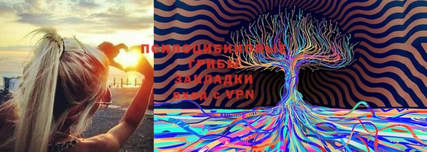 герыч Россошь