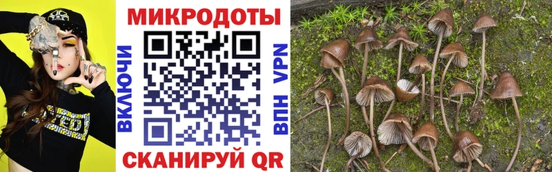 купить Севск Псилоцибиновые грибы MAGIC MUSHROOMS